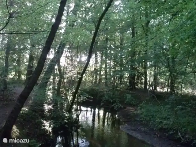 't Bonnink natuurgebied